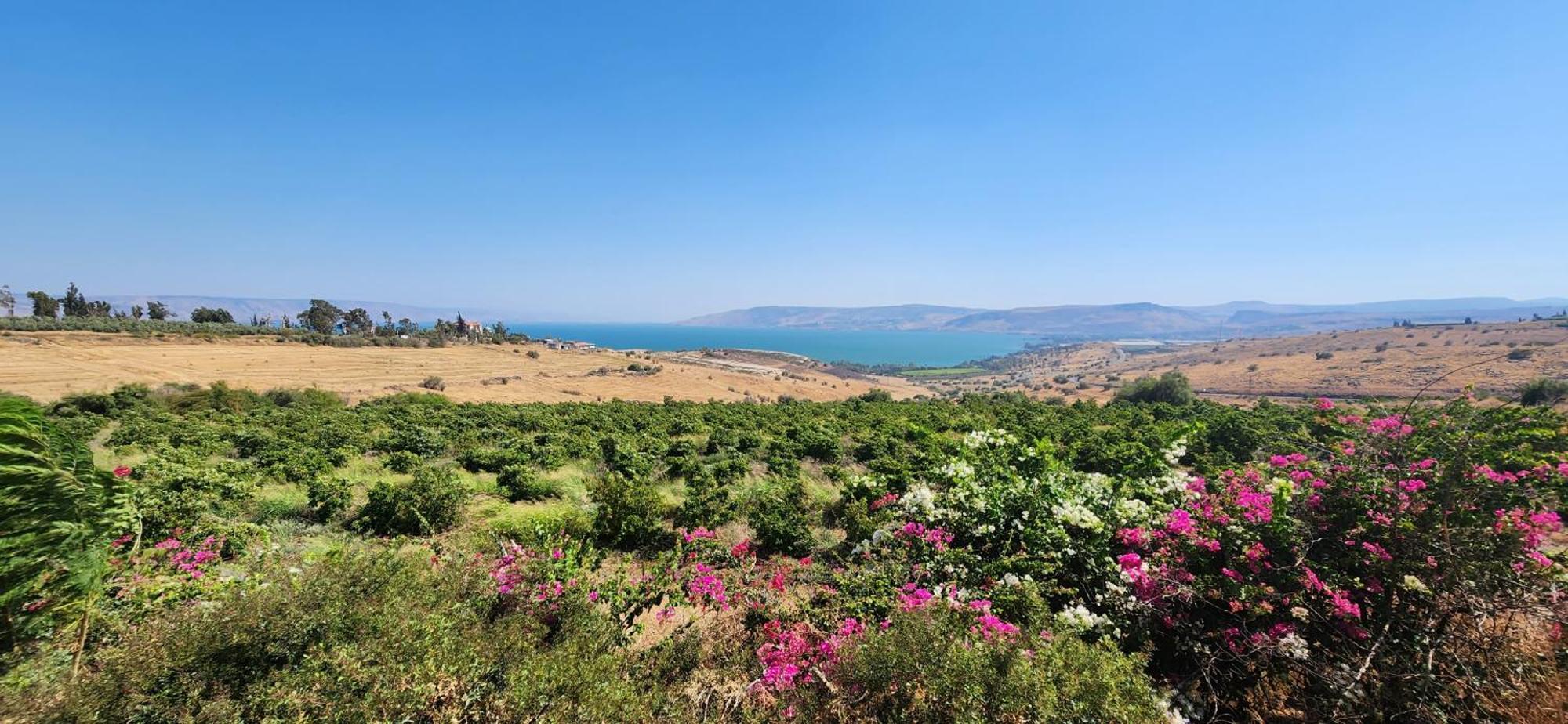 Casa Cohen C Kineret קאסה כהן סי כנרת Lägenhet Migdal Exteriör bild